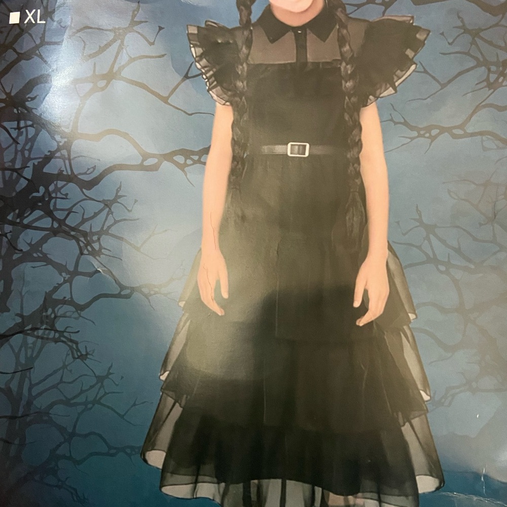 Child Black Gothic Dresd Costume - Medium
